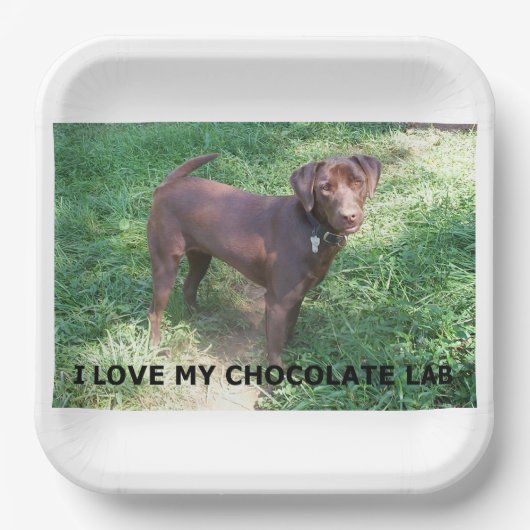 LR Schokolade Labrador Liebe mit Bild Pappteller (Vorderseite)