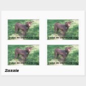 LR Schokolade Labrador Liebe mit Bild Rechteckiger Aufkleber (Blatt)