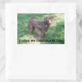 LR Schokolade Labrador Liebe mit Bild Rechteckiger Aufkleber (Tasche)