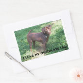 LR Schokolade Labrador Liebe mit Bild Rechteckiger Aufkleber (Umschlag)