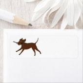 LR SchokoladenLabrador mit Stock (Insitu)