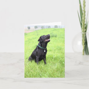 LR schwarz sitzend Karte