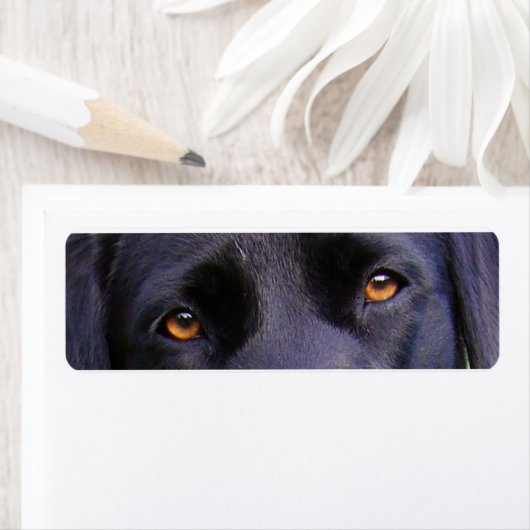 LR Schwarze Augen (Insitu)