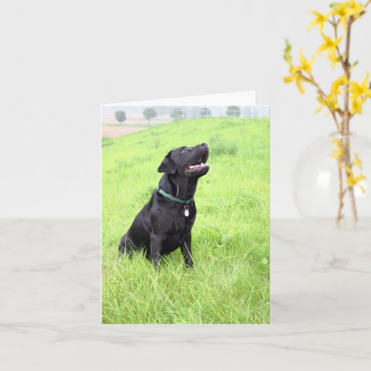 LR Schwarzer Sitzer Karte (Gelbe Blume)