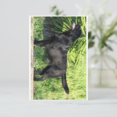 LR schwarzes Labor Dankeskarte (Stehend Vorderseite)