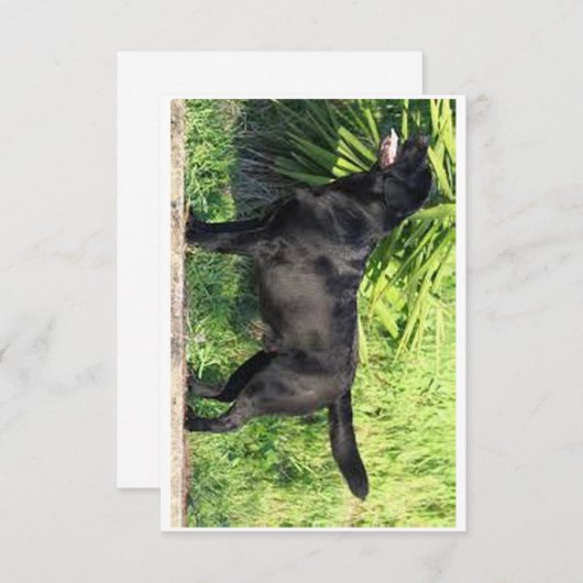 LR schwarzes Labor Dankeskarte (Vorne/Hinten)