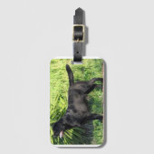 LR schwarzes Labor Gepäckanhänger (Vorderseite Vertikal)