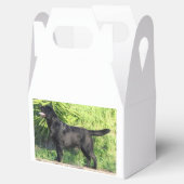 LR schwarzes Labor Geschenkschachtel (Geöffnet)