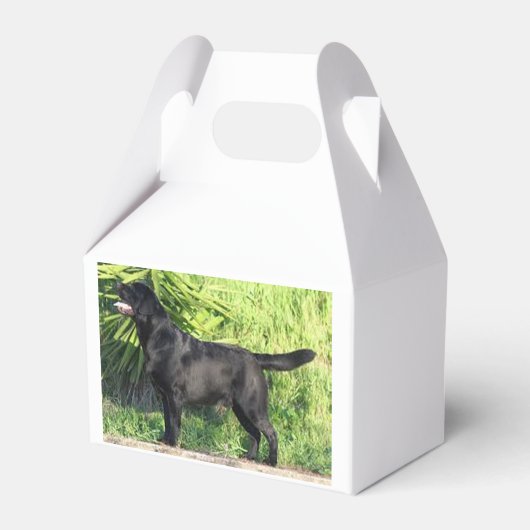 LR schwarzes Labor Geschenkschachtel (Vorderseite)