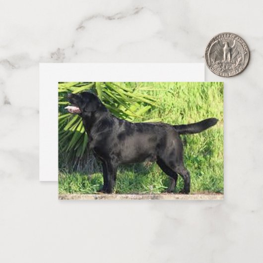 LR schwarzes Labor Mitteilungskarte (Vorderseite/Rückseite Beispiel)