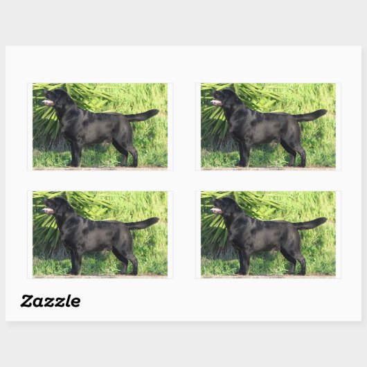 LR schwarzes Labor Rechteckiger Aufkleber (Blatt)