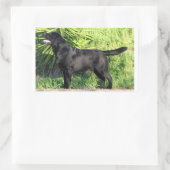 LR schwarzes Labor Rechteckiger Aufkleber (Tasche)