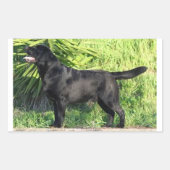 LR schwarzes Labor Rechteckiger Aufkleber (Vorderseite)