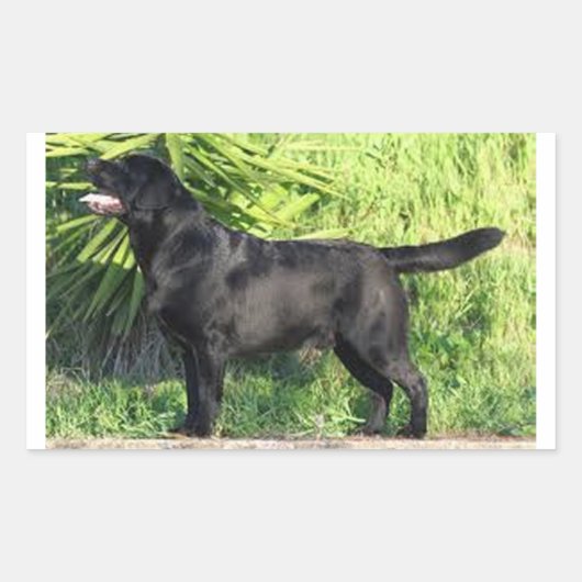 LR schwarzes Labor Rechteckiger Aufkleber (Vorderseite)