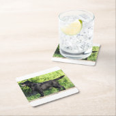 LR schwarzes Labor Rechteckiger Pappuntersetzer (Vor Ort)