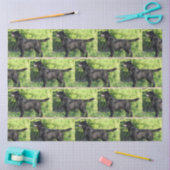 LR schwarzes Labor Seidenpapier (Basteln)