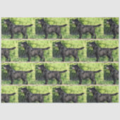 LR schwarzes Labor Seidenpapier (Vorderseite)