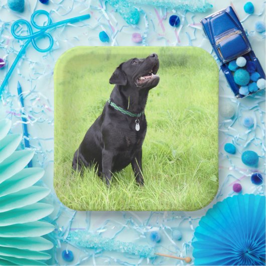 LR schwarzes Labor sitzend Pappteller (Party)