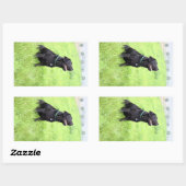 LR schwarzes Labor sitzend Rechteckiger Aufkleber (Blatt)