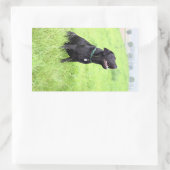 LR schwarzes Labor sitzend Rechteckiger Aufkleber (Tasche)