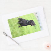 LR schwarzes Labor sitzend Rechteckiger Aufkleber (Umschlag)