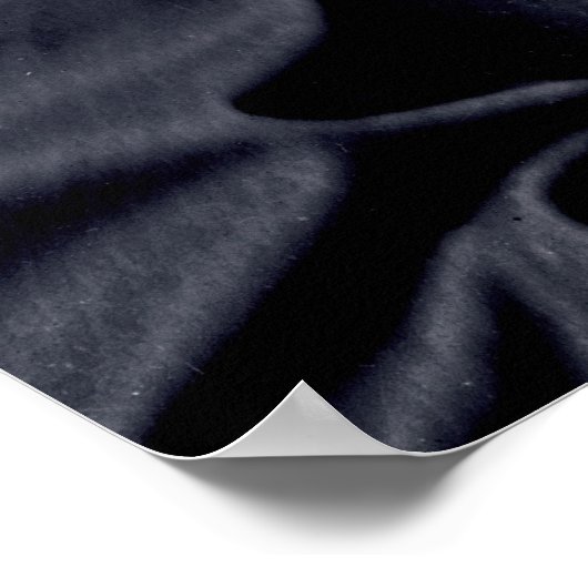 Lt. General Ulysses S. GRANT Poster (Ecke)