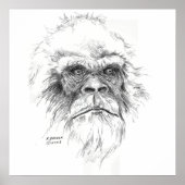 LTB-Poster Poster (Vorne)