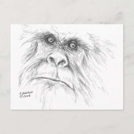 LTB POSTKARTE (Vorderseite)