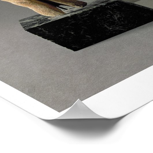 (Lto R) Figurin mit Armkreuzungen, Cycladic; Kopf Poster (Ecke)