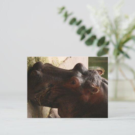 Lu Postkarte (Stehend Vorderseite)