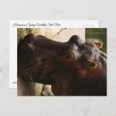 Lu Postkarte (Vorne/Hinten)