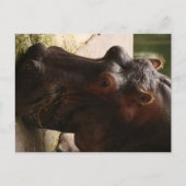 Lu Postkarte (Vorderseite)