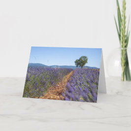 Luberon Lavendel Felder, Provence, Frankreich -  Karte