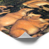 Lucas Cranach the Elder - Paradies Poster (Ecke)