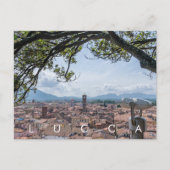 Lucca-Dächer Aussicht Postkarte (Vorderseite)
