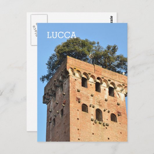 Lucca, Italien Postkarte (Vorne/Hinten)