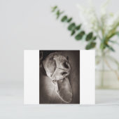 Lucca Postkarte (Stehend Vorderseite)