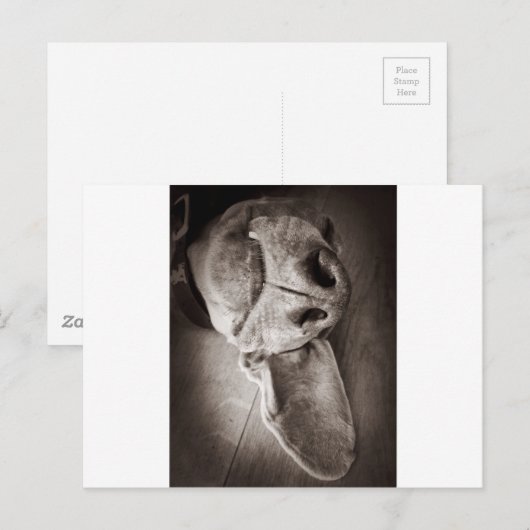 Lucca Postkarte (Vorne/Hinten)