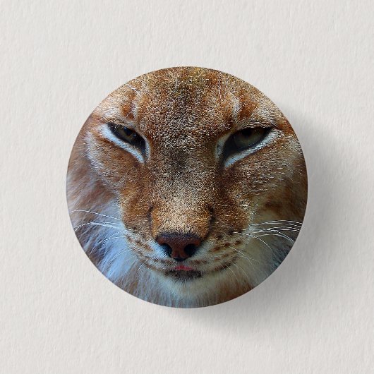 Luchs-Gesicht - Abzeichen Button (Vorderseite)