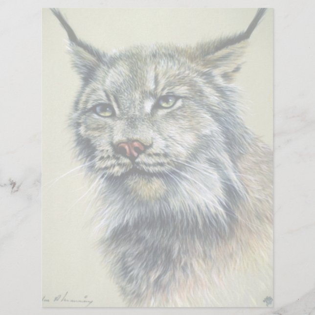 Luchs (Hauptstudie) (Vorderseite)