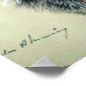 Luchs (Hauptstudie) Poster (Ecke)