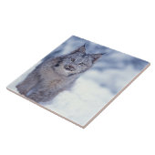 Luchs im Schnee am Fuße der Berge Fliese (Seite)
