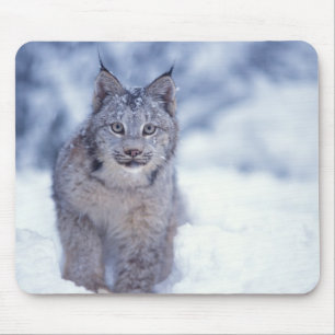 Luchs im Schnee am Fuße der Berge Mousepad