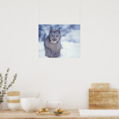Luchs im Schnee am Fuße der Berge Poster (Küche)