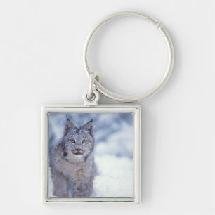 Luchs im Schnee am Fuße der Berge Schlüsselanhänger
