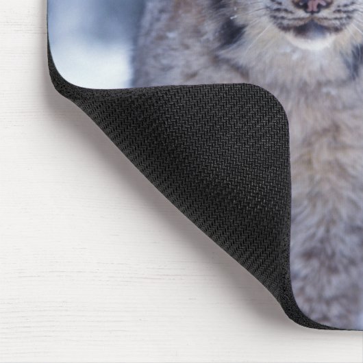 Luchs im Schnee im Vorland Mousepad (Ecke)