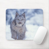 Luchs im Schnee im Vorland Mousepad (Mit Mouse)