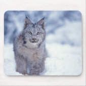 Luchs im Schnee im Vorland Mousepad (Vorne)