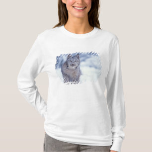 Luchs im Schnee im Vorland T-Shirt