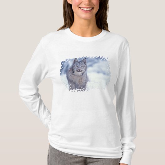 Luchs im Schnee im Vorland T-Shirt (Vorderseite)